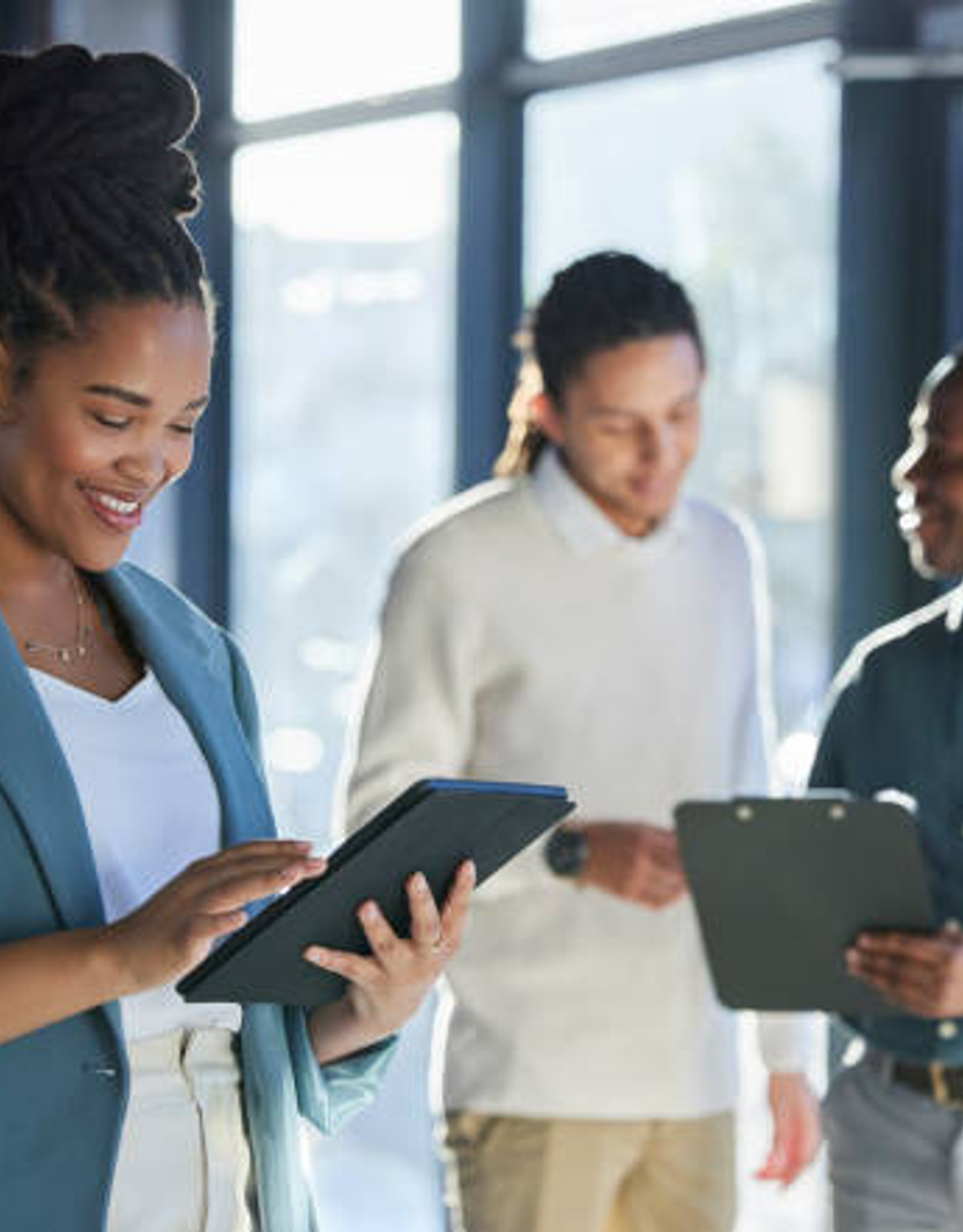 ABGO Guiding Principles | Carifika Global Initiative
